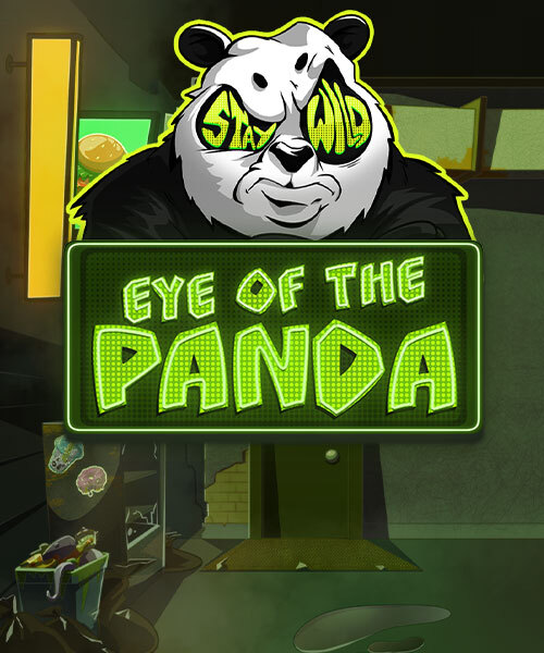 Eye of the Panda
